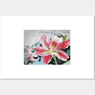 Red Lily Flower Watercolor Painting Posters and Art